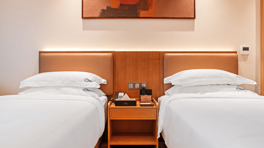 Standard Twin Room-2