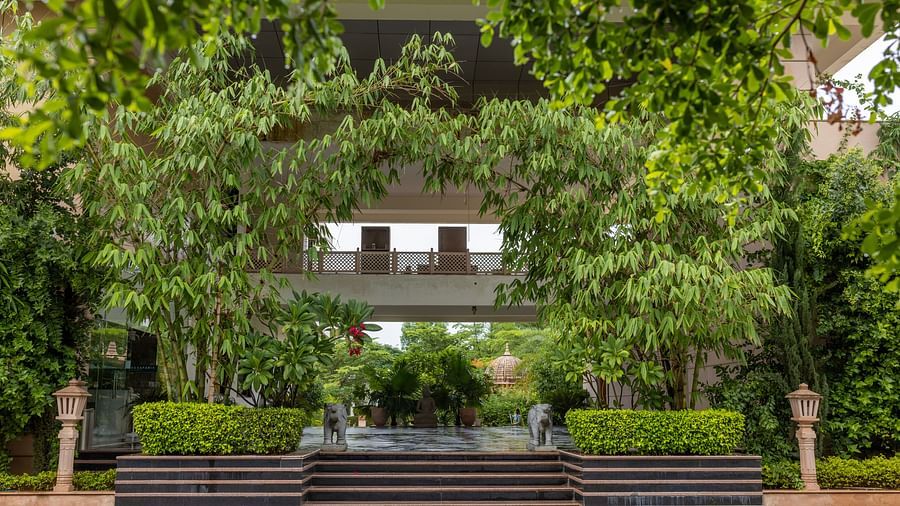A entrance at Clarks Safari, Ranthambore, leading to the resort through a natural archway of trees.