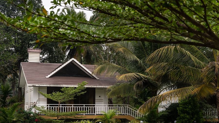 Facade image of the cottage with shrubs and trees in front of it - Mastiff Select Terrain