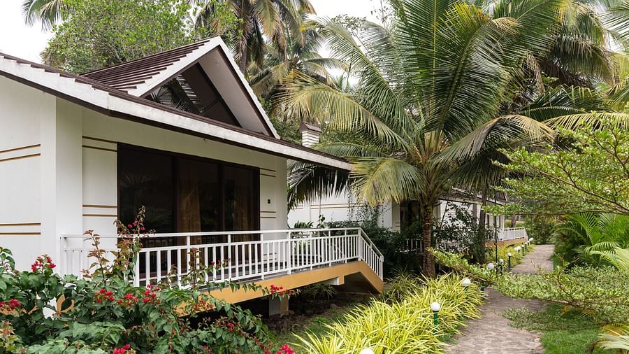 The facade image of the cottage with trees surrounding it - Mastiff Select Terrain