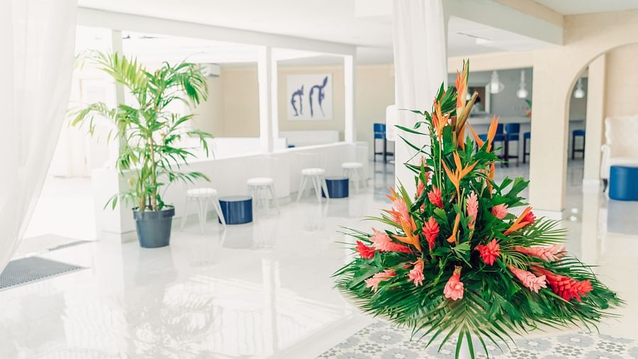 The Soco House - the reception area of the Soco House 