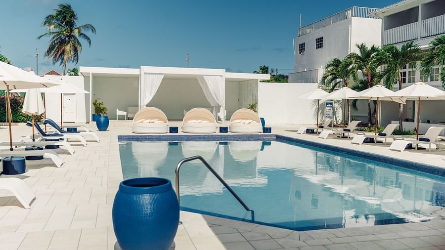 Soco House - view of the swimming pool with pool chairs surrounding the pool