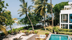 A view of a swimming pool at  and a deck with several lounge chairs tucked between coconut trees and lush greenery near a multi-story building at Owl and the Pussycat Hotel in Galle.