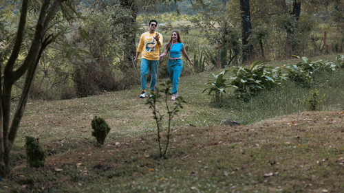 A couple walking holding hands in the woods