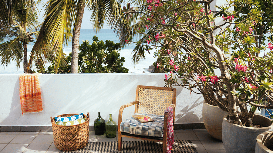 A single wooden armchair with a woven back on a patio next to large potted flowering plants and a woven basket, overlooking a beach with coconut trees at Owl and the Pussycat Hotel in Galle.