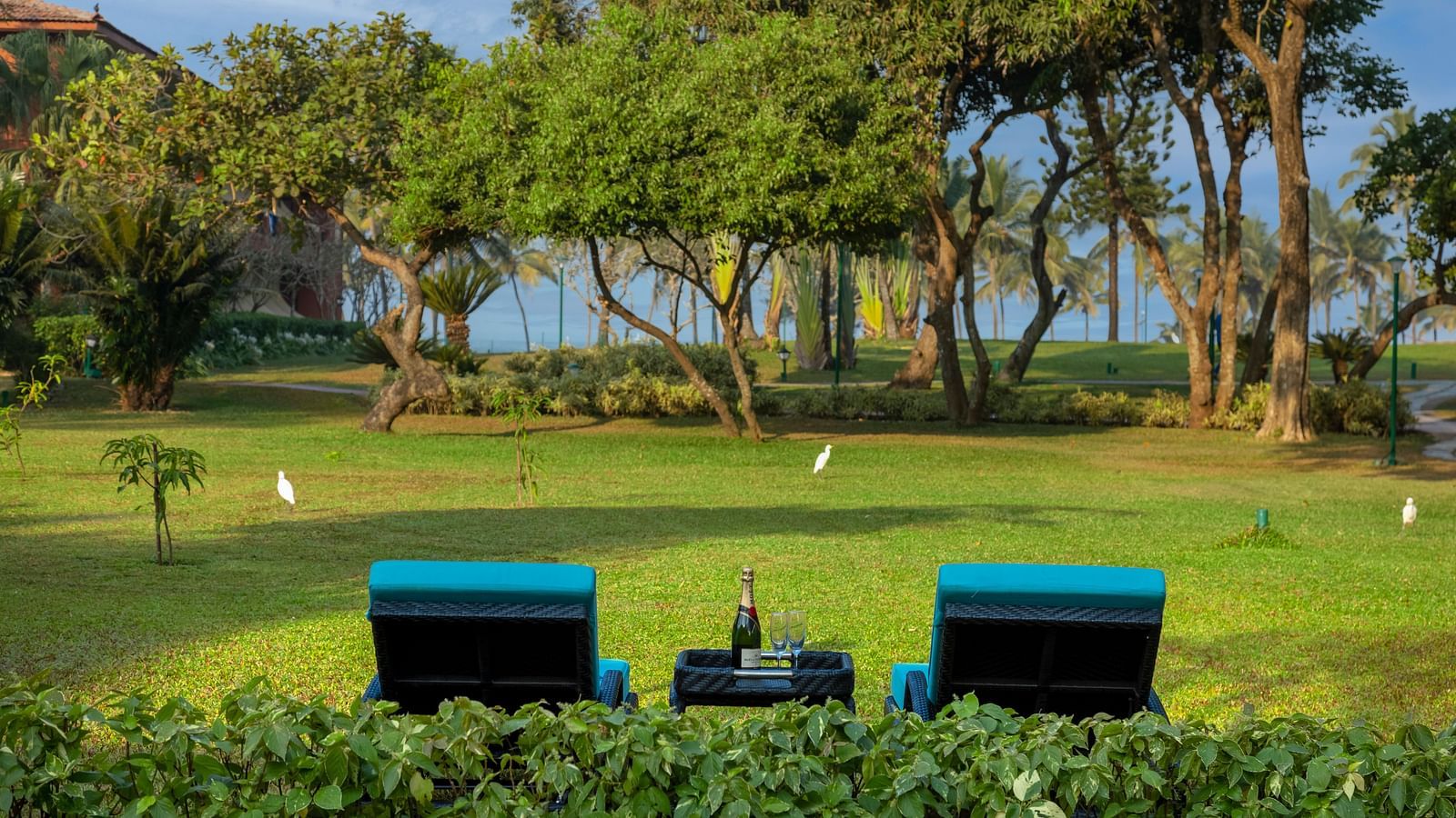 two loungers on the garden inside 2 Bedroom Garden Villa - Caravela Beach Resort Goa