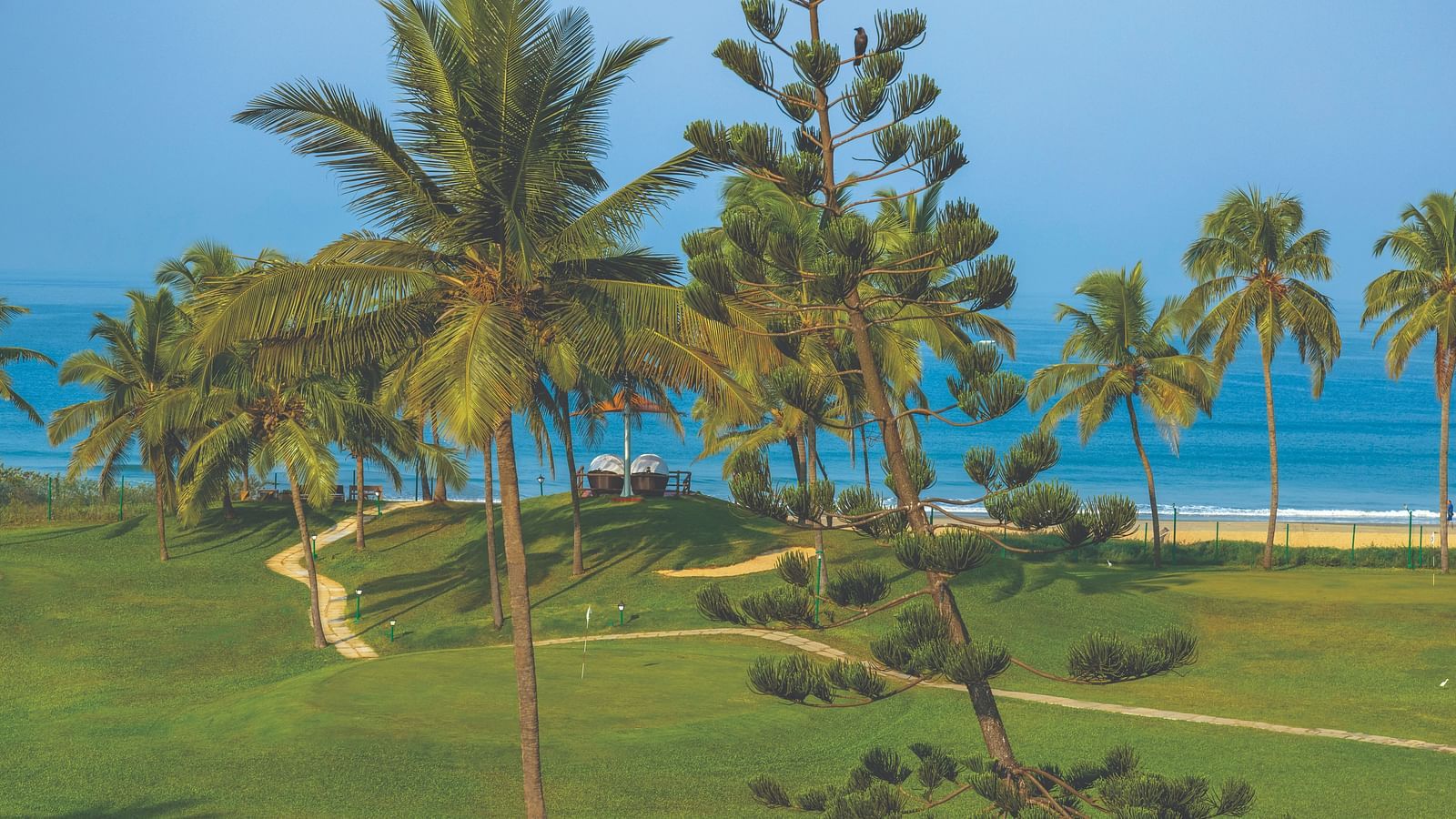 an aerial view of the coconut trees on the lawn with the sea in the background - Caravela Beach Resort Goa.