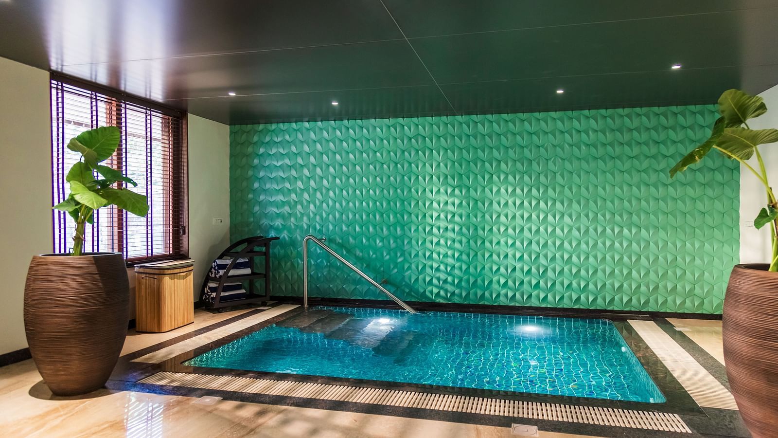 Gamyam Retreat, Kumta - A small pool for an Ayurveda treatment at ou resort