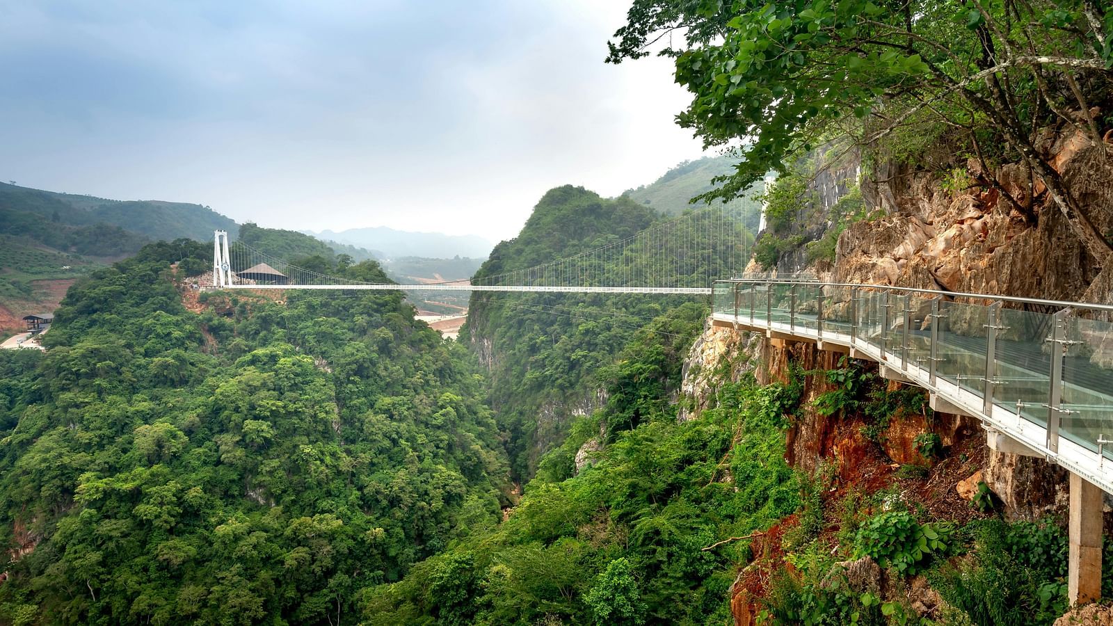 image of a glass bridge surrounded by trees 