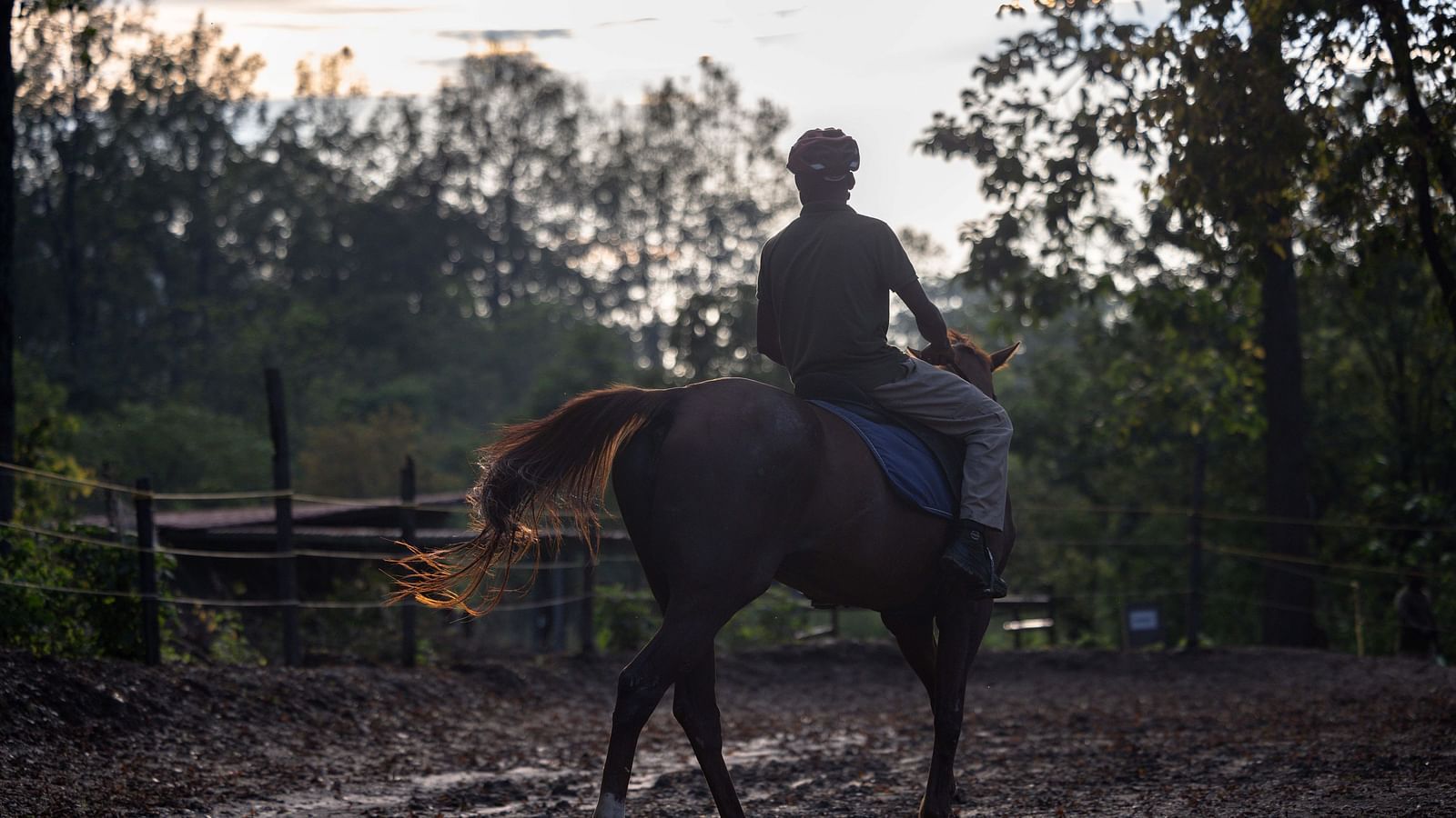 A person riding a horse on a dirt trail with trees in the backdrop