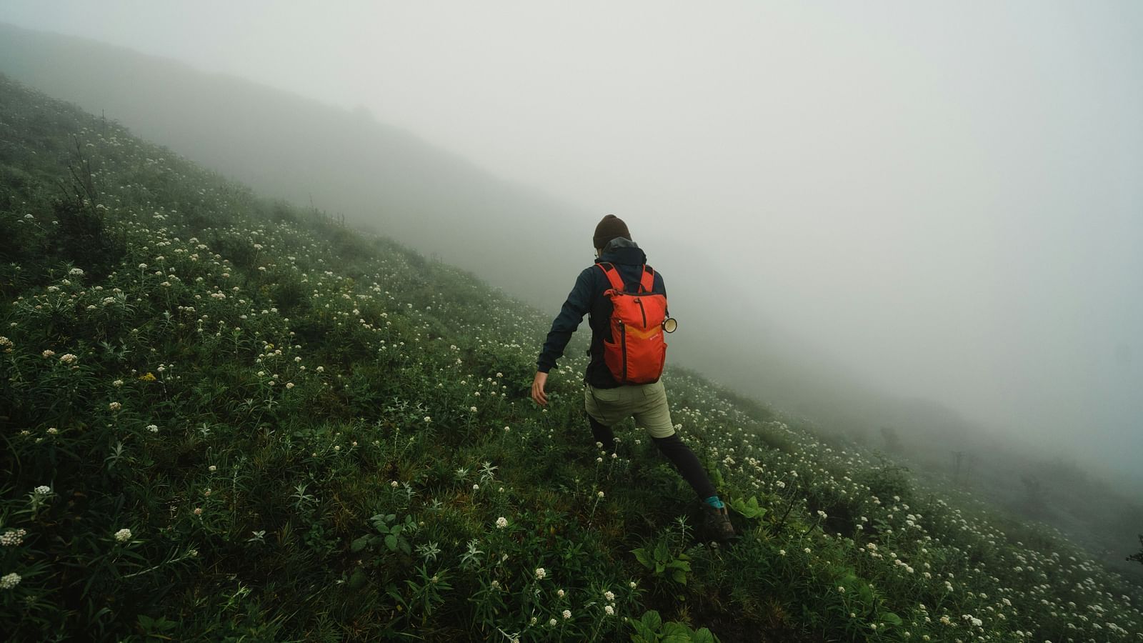 a person wearing a black jacket and an orange backpack hiking up a trail surrounded by flowers