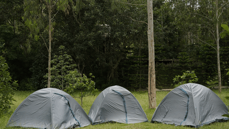 Three dome tents pitched on a grassy campsite surrounded by tall trees in a forested setting.