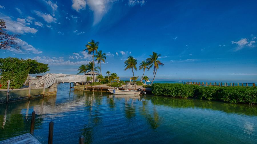 Waterfront view at Casa Morada with palm trees, calm waters, and a small structure on the shore.