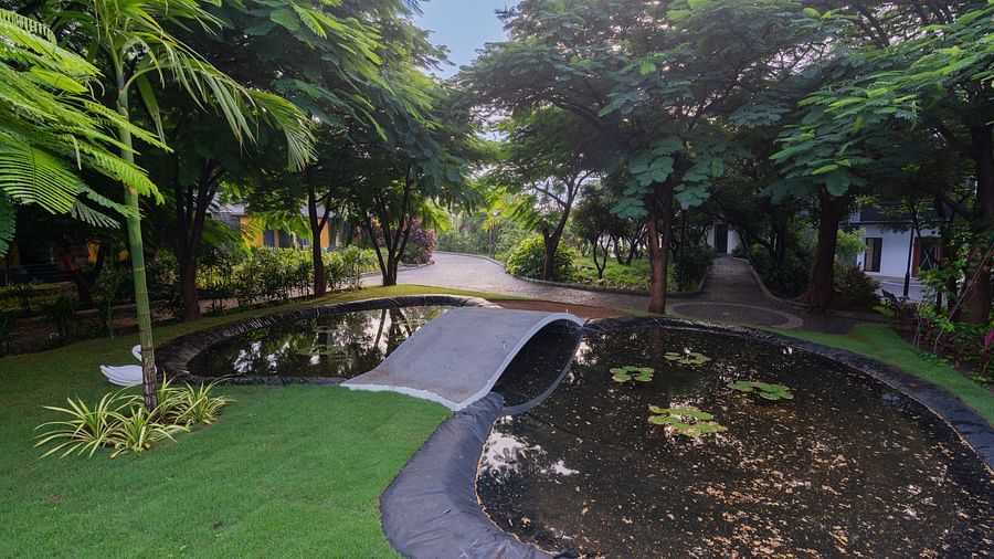 image of a small over bridge built on a artificial late nestled amidst a serene lawn - Darza Resorts