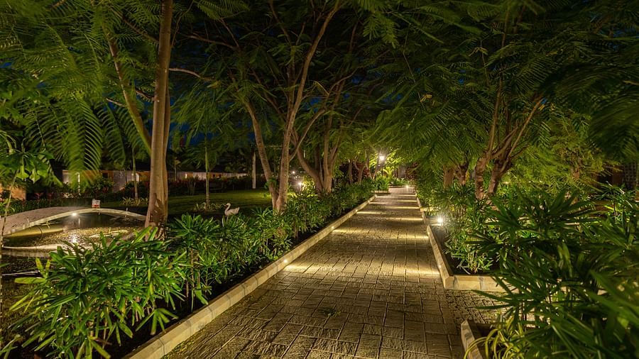 image of a pathway at darza resort in coimbatore with lush green bushes lined at the corner