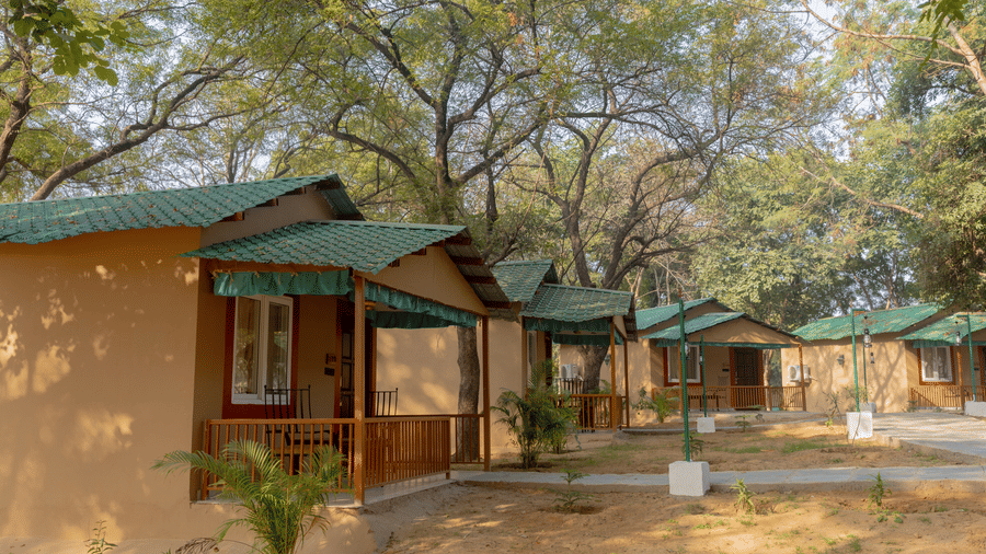 Exterior view of multiple tan guest cottages with roofs lined up along a path at Estherea Bagh, Ranthambore, under a canopy of trees.