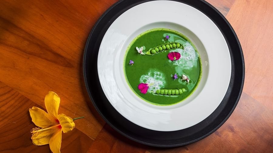 Gamyam Retreat, Kumta - A green soupy food dish served in a white plate