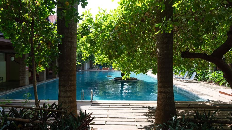 Swimming pool in front of two trees.
