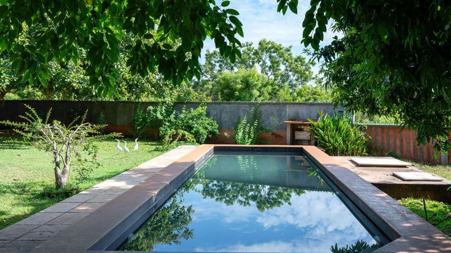Villa Pool view - shaded by lush green trees and complete with soothing natural vistas.