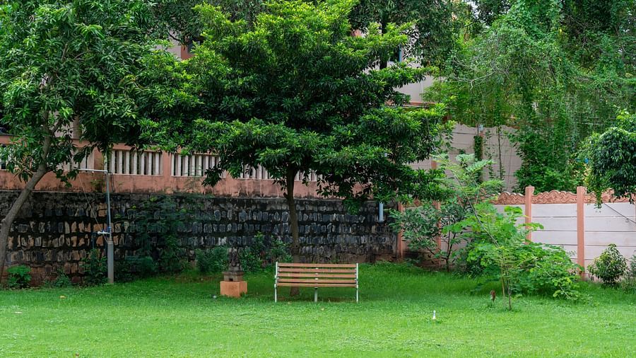 A large patch of land covered by grass and trees with a bench.