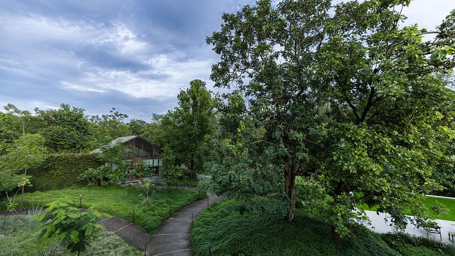 A view of a garden with lush greenery and paved pathways on a cloudy day