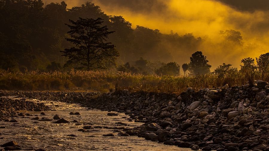 A photo of a river flowing through a forest, with mist rising from the water.