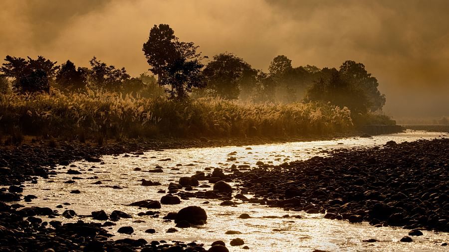 a river with a meandering course surrounded by trees on both sides - The Jamoon, Corbett