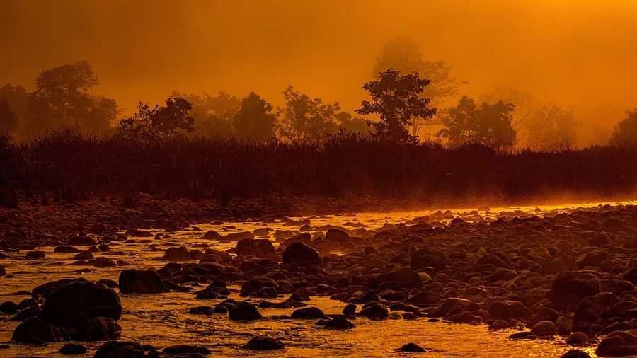a river with a meandering course surrounded by trees on both sides - The Jamoon, Corbett