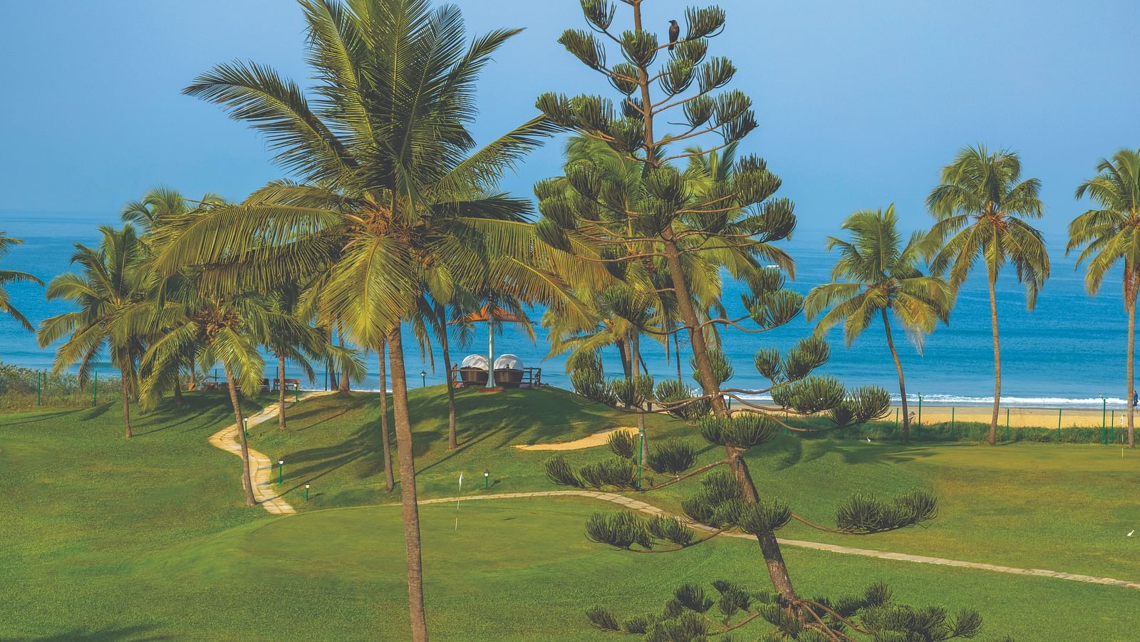 an aerial view of the coconut trees on the lawn with the sea in the background - Caravela Beach Resort Goa.
