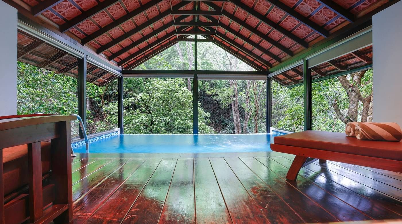 A forest view from the swimming pool | Vythiri Resort. Wayanad