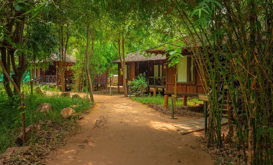 alt-text Tendu Leaf Jungle Resort-62