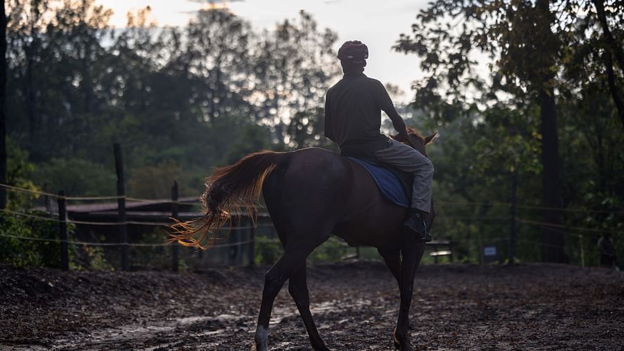 A person riding a horse on a dirt trail with trees in the backdrop
