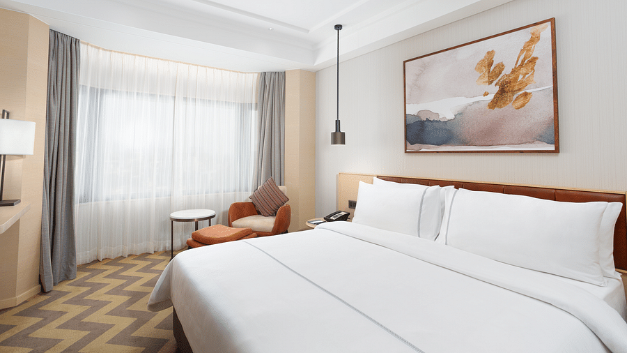 Suite8