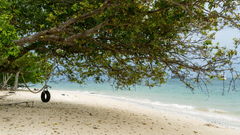 Stay at our hotel in Andaman and Nicobar Islands