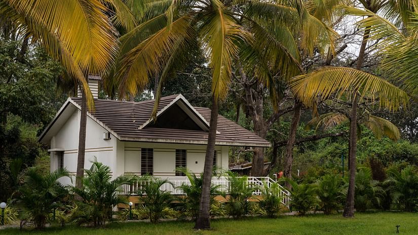 Far view of the cottage with coconut trees in front of it - Mastiff Select Terrain