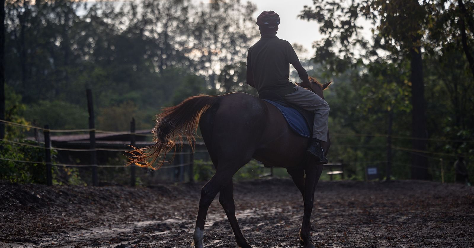 A person riding a horse in an open area with trees in the backdrop on an overcast day