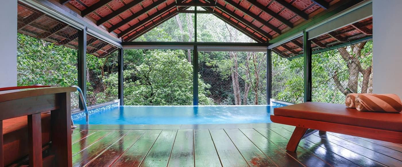 A forest view from the swimming pool | Vythiri Resort. Wayanad