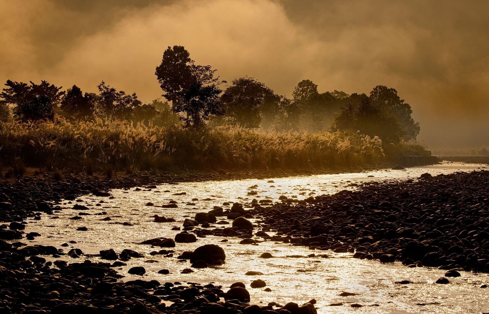 a river with a meandering course surrounded by trees on both sides - The Jamoon, Corbett