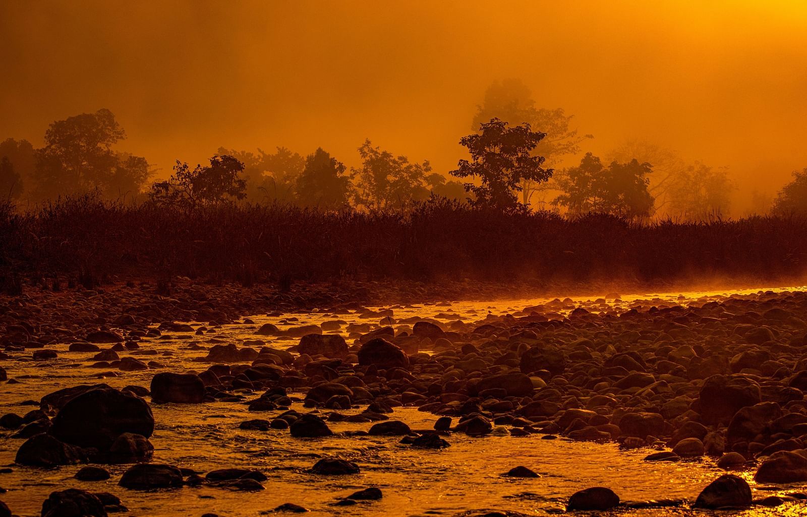 a river with a meandering course surrounded by trees on both sides - The Jamoon, Corbett