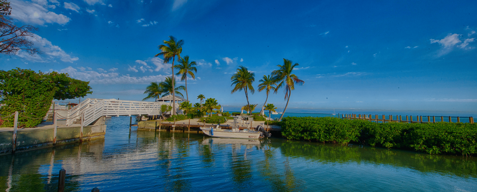 Casa Morada waterfront with palm trees, pier, dock, and waterway under clear sky.