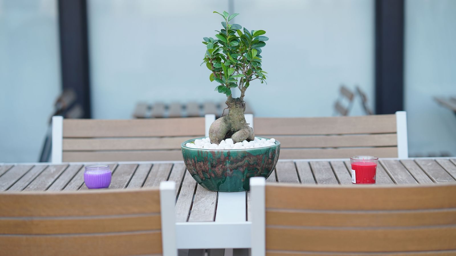 A close-up view of a small table with a plant placed on it at Hotel Kyzen Smartstays – Smart, Reliable, Kyzen