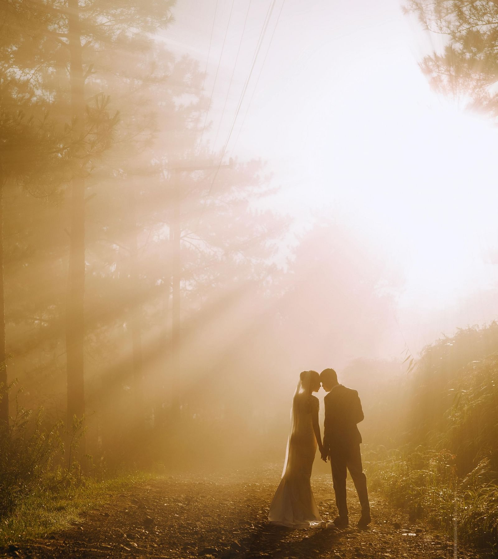 A silhouette of a couple posing against a backlit forest - Narrow Gauge Inn - A Serenite Hotel Near Fish Camp.