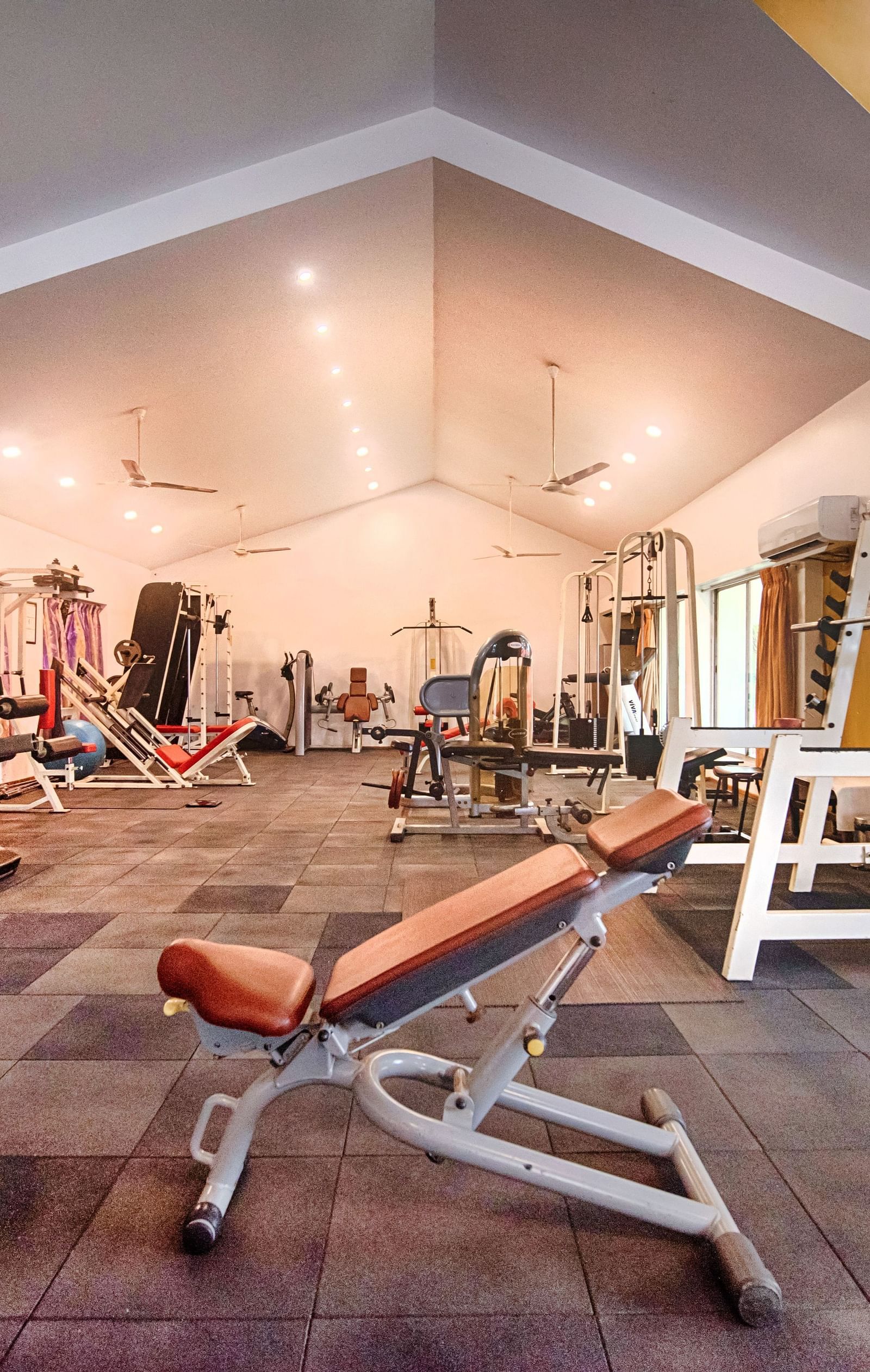 gymnasium