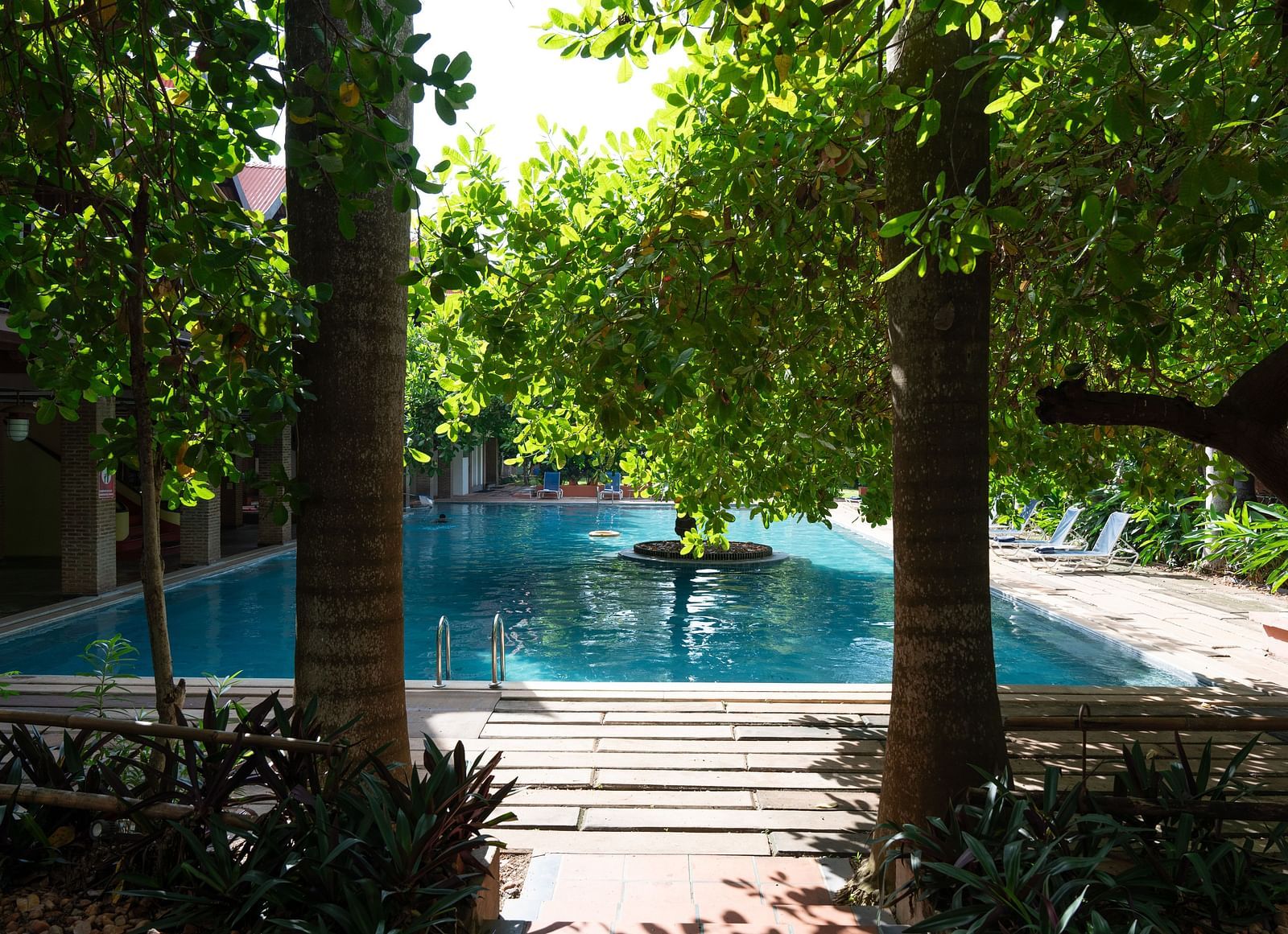 Swimming pool in front of two trees.