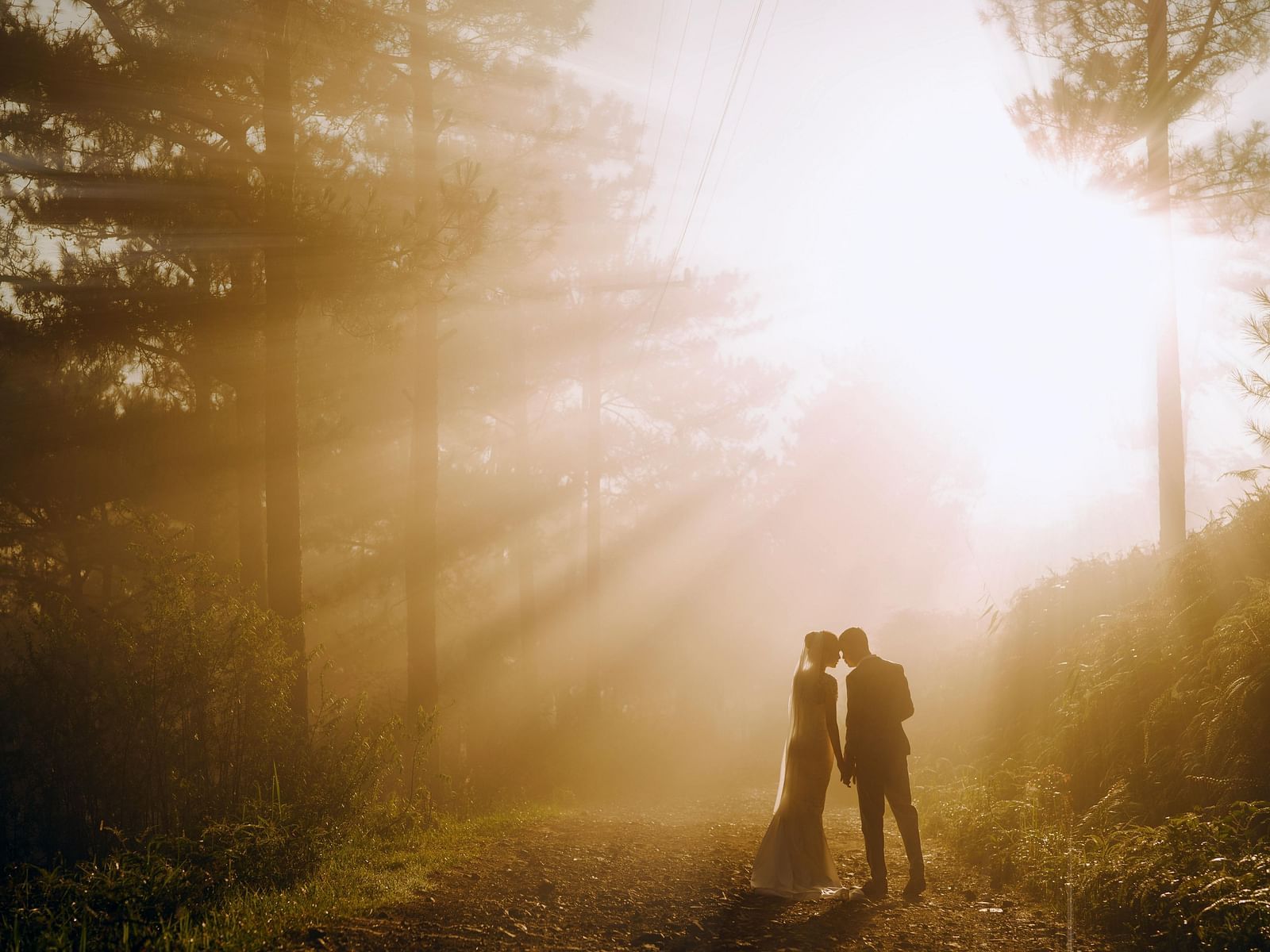 A silhouette of a couple posing against a backlit forest - Narrow Gauge Inn - A Serenite Hotel Near Fish Camp.