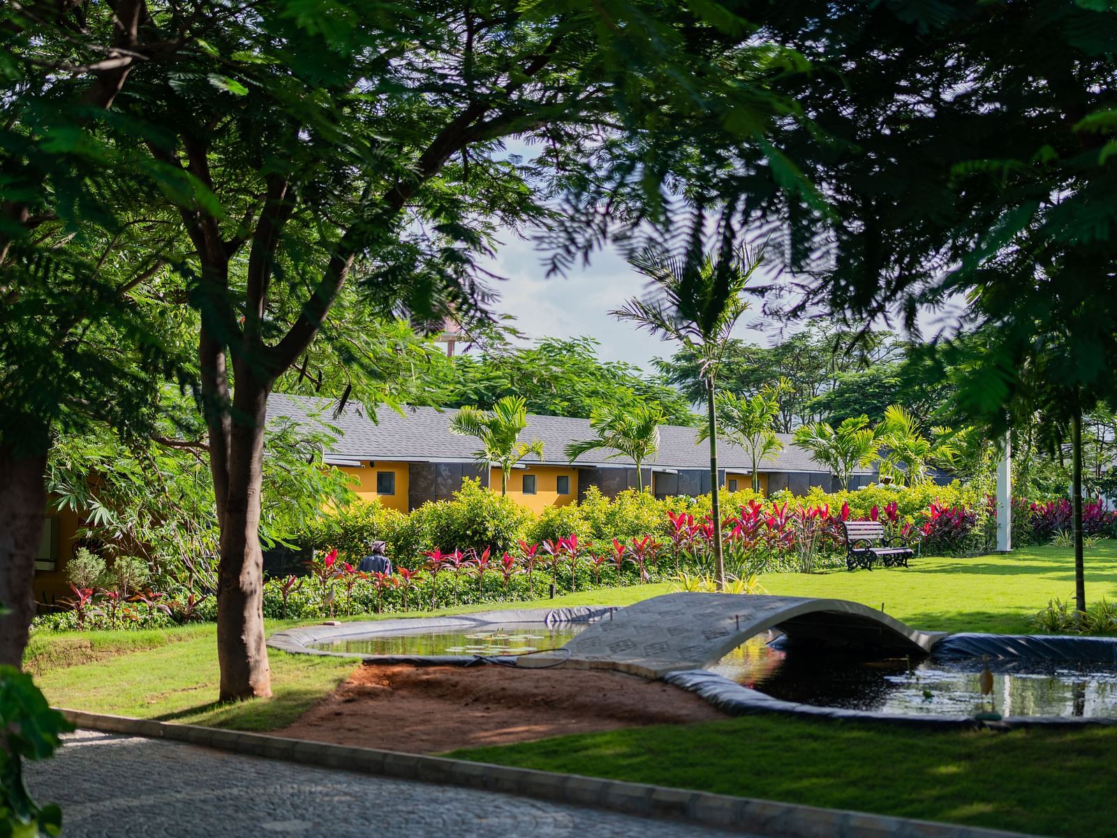 image of the premium room villas with a small pond in the foreground - Darza Resort