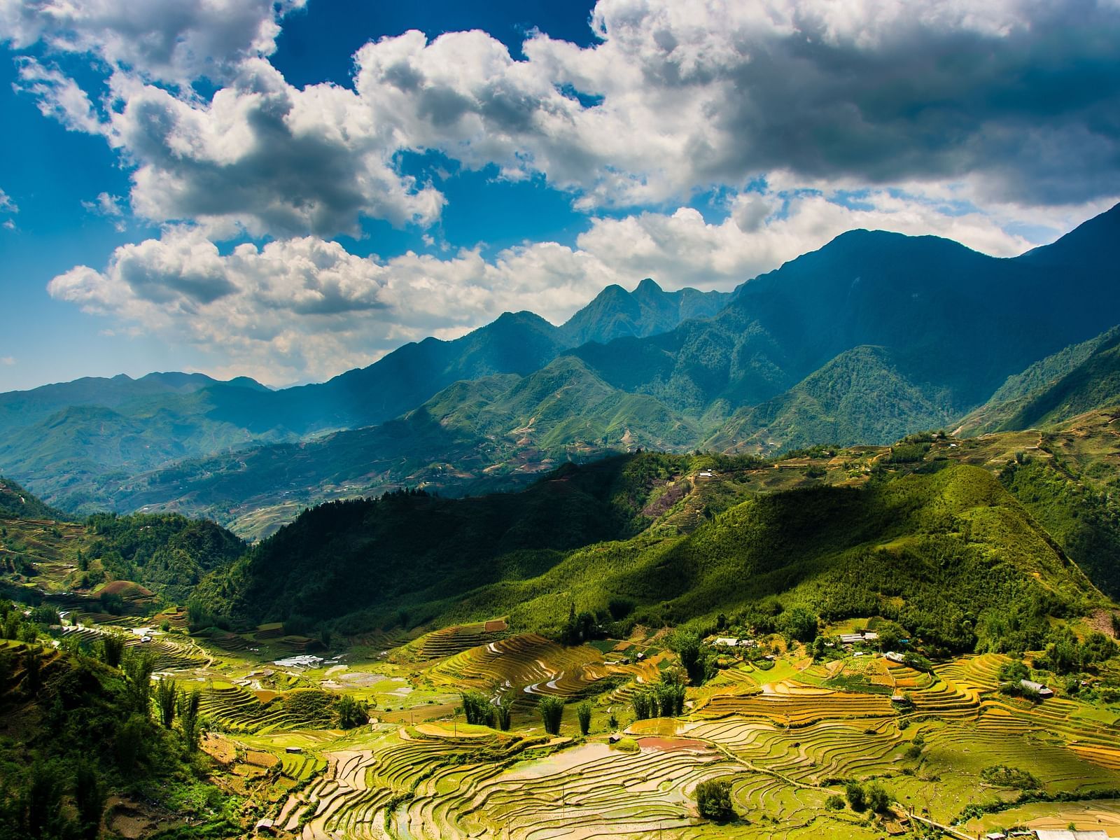 An overview of an agricultural land in Sapa, Vietnam, with mountains in the background.
