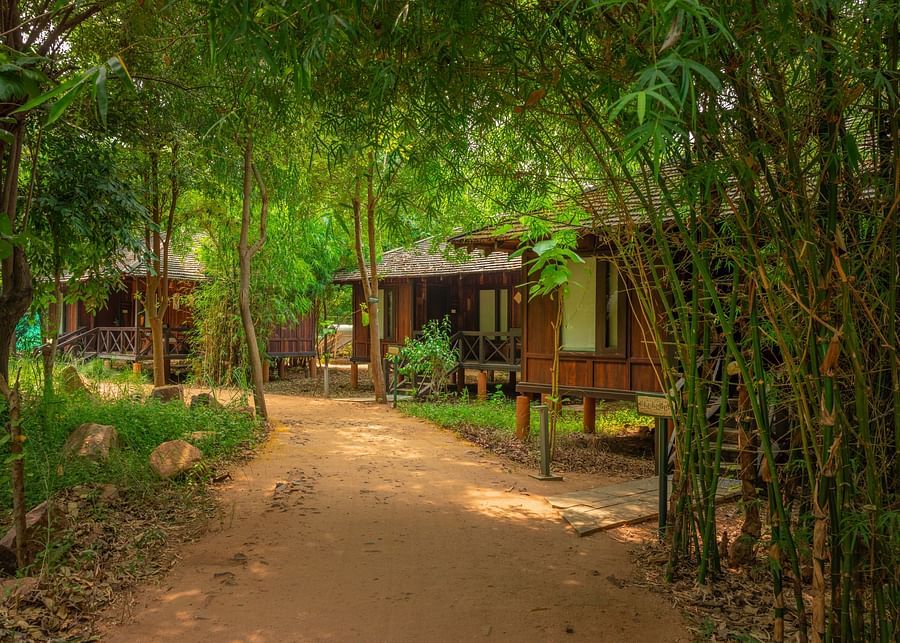 Tendu Leaf Jungle Resort-62