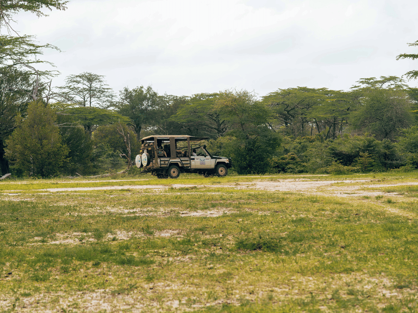 A safari going through a wildlife sanctury with travellers in it.