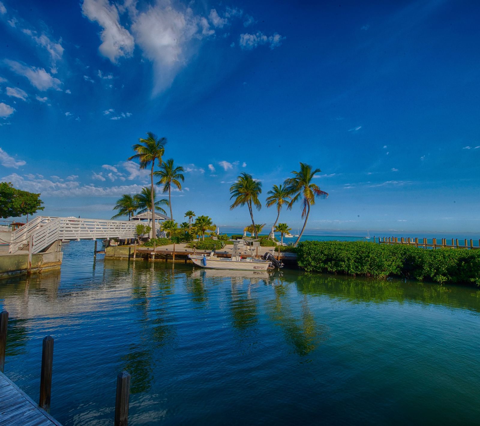 Waterfront view at Casa Morada with palm trees, calm waters, and a small structure on the shore.
